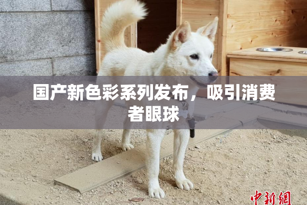 国产新色彩系列发布，吸引消费者眼球