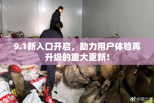9.1新入口开启，助力用户体验再升级的重大更新！