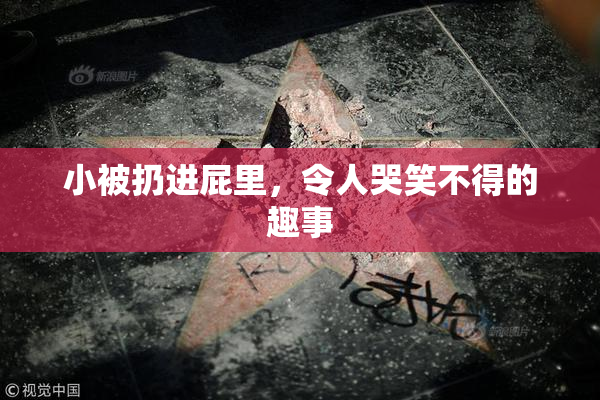 小被扔进屁里，令人哭笑不得的趣事