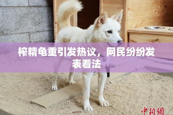 榨精龟重引发热议，网民纷纷发表看法
