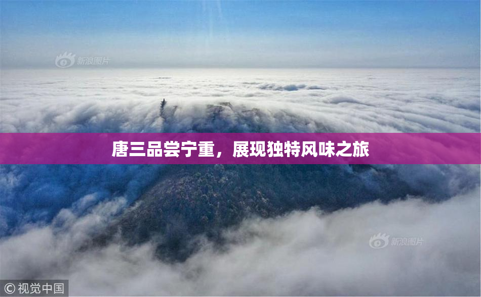 唐三品尝宁重，展现独特风味之旅