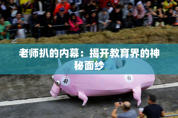 老师扒的内幕：揭开教育界的神秘面纱