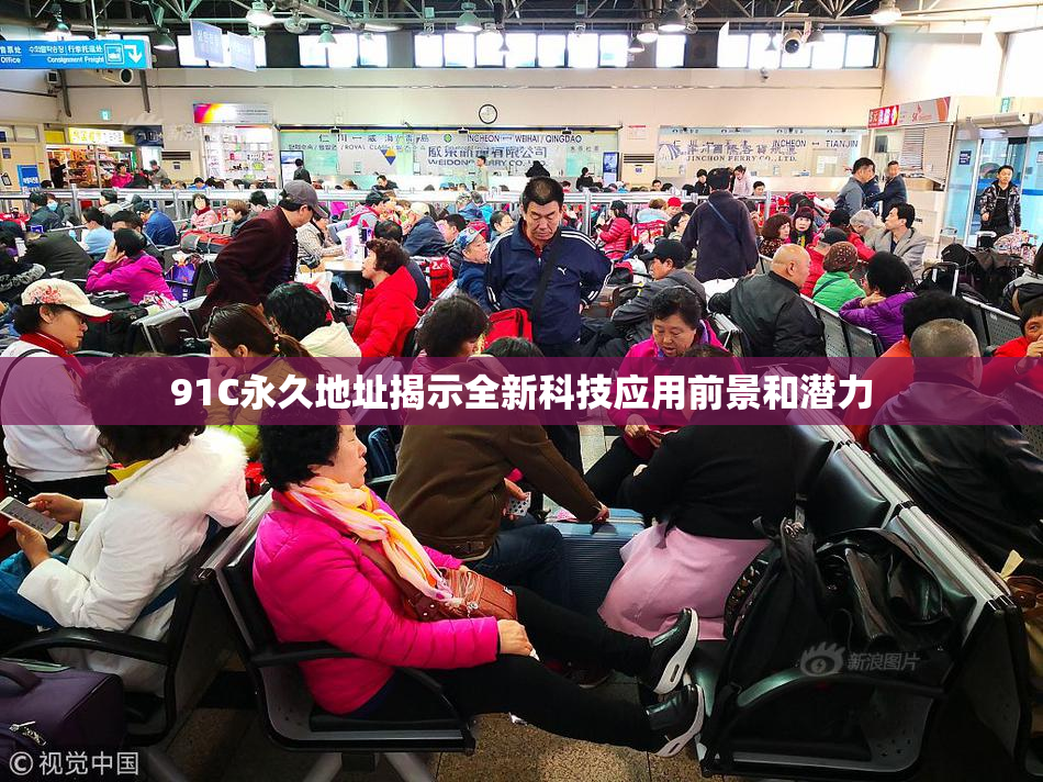 91C永久地址揭示全新科技应用前景和潜力
