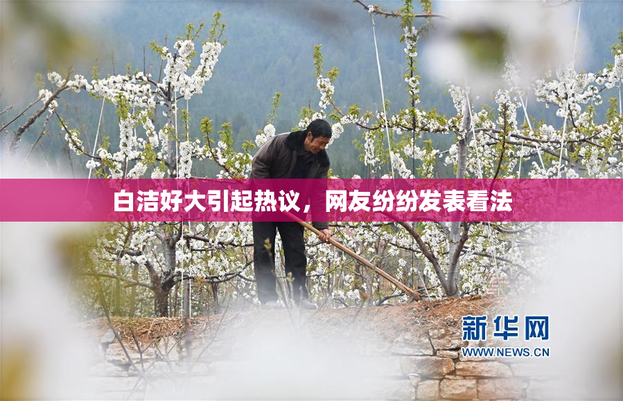 白洁好大引起热议，网友纷纷发表看法