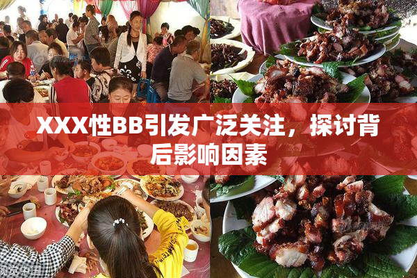 XXX性BB引发广泛关注，探讨背后影响因素