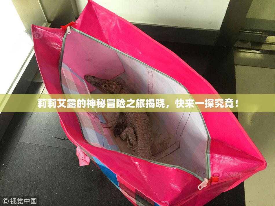 莉莉艾露的神秘冒险之旅揭晓，快来一探究竟！