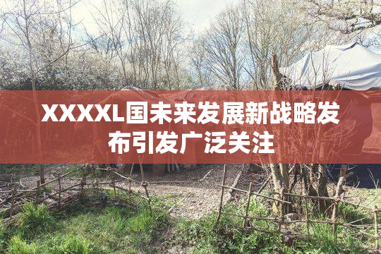 XXXXL国未来发展新战略发布引发广泛关注