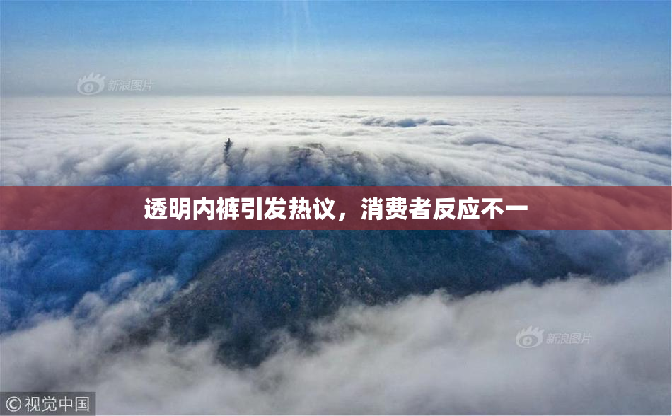 透明内裤引发热议，消费者反应不一