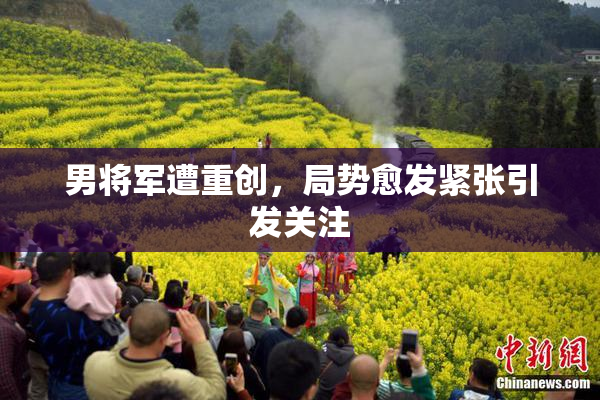 男将军遭重创，局势愈发紧张引发关注
