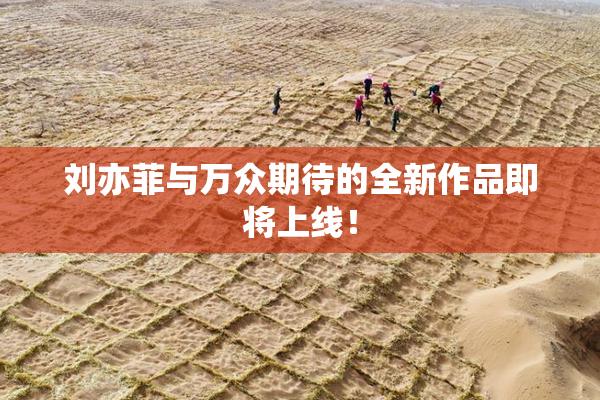 刘亦菲与万众期待的全新作品即将上线！