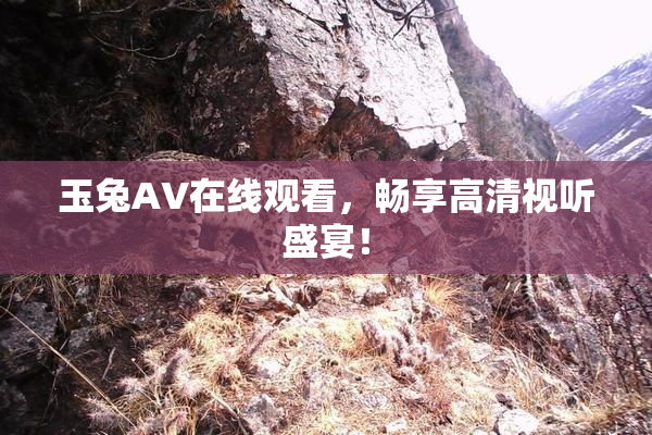 玉兔AV在线观看，畅享高清视听盛宴！