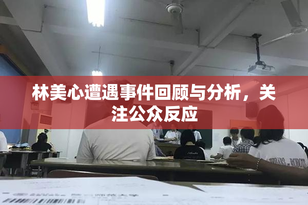 林美心遭遇事件回顾与分析，关注公众反应