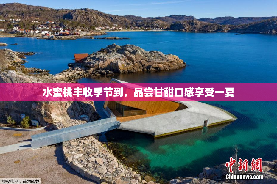 水蜜桃丰收季节到，品尝甘甜口感享受一夏