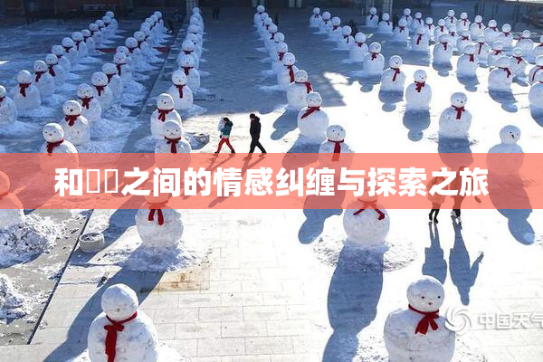 和妺妺之间的情感纠缠与探索之旅