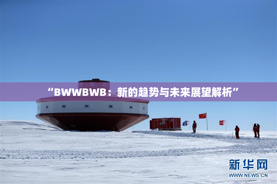“BWWBWB：新的趋势与未来展望解析”