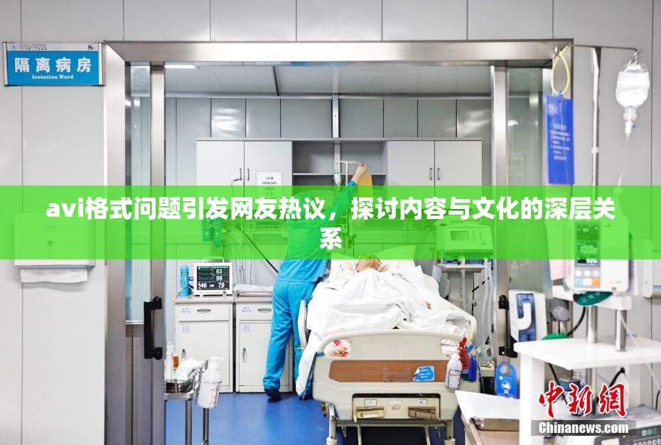 avi格式问题引发网友热议，探讨内容与文化的深层关系