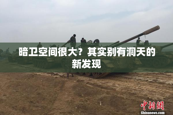 暗卫空间很大？其实别有洞天的新发现