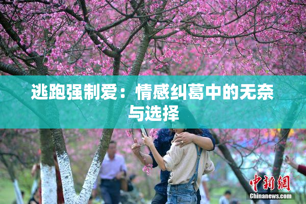 逃跑强制爱：情感纠葛中的无奈与选择