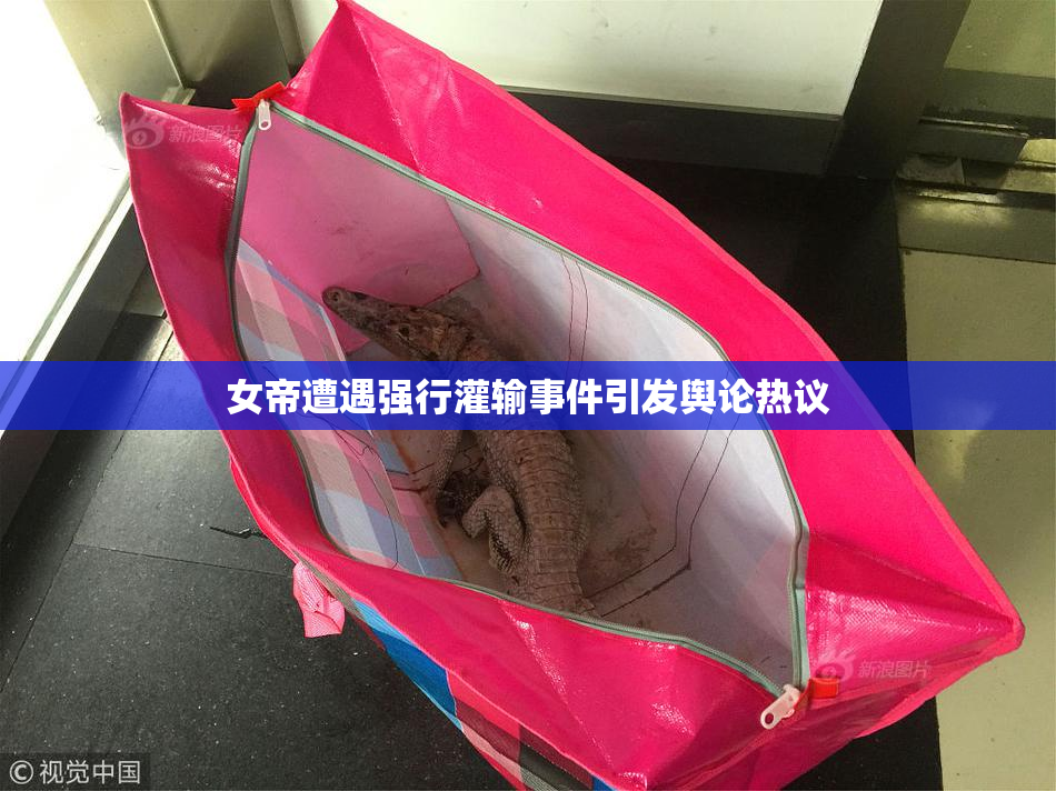 女帝遭遇强行灌输事件引发舆论热议