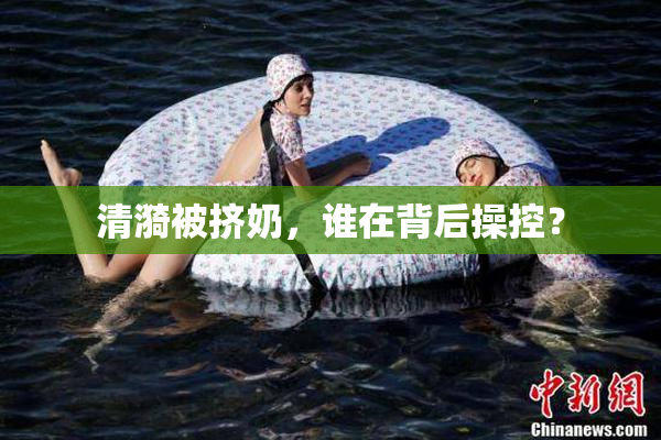 清漪被挤奶，谁在背后操控？