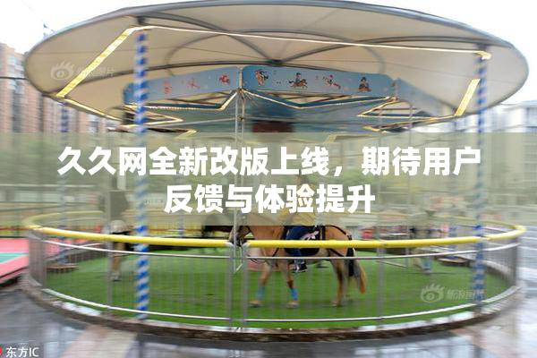 久久网全新改版上线，期待用户反馈与体验提升