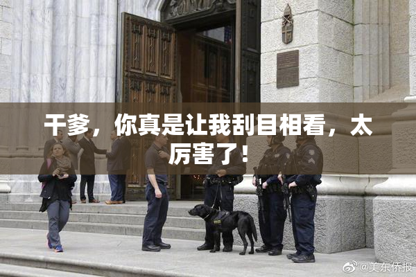 干爹，你真是让我刮目相看，太厉害了！