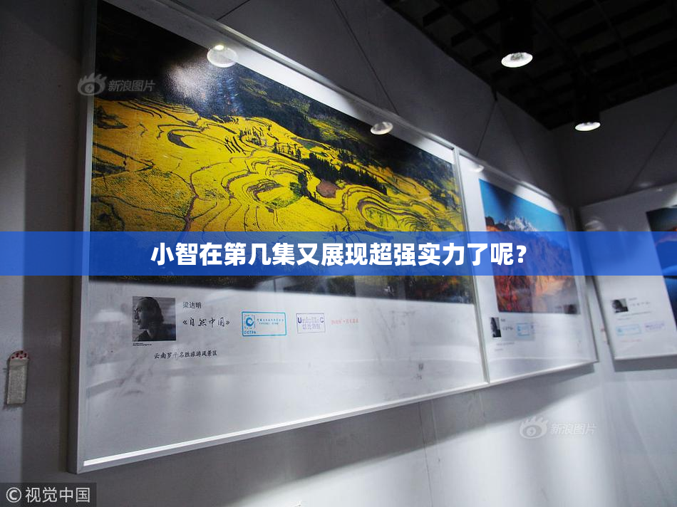 小智在第几集又展现超强实力了呢？
