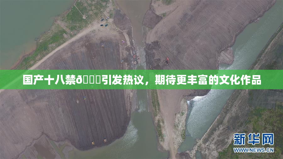 国产十八禁🔞引发热议，期待更丰富的文化作品