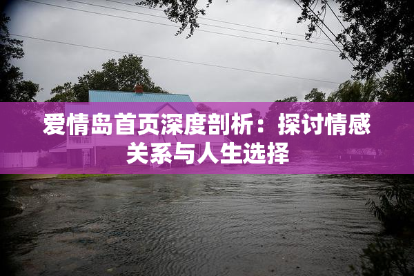 爱情岛首页深度剖析：探讨情感关系与人生选择