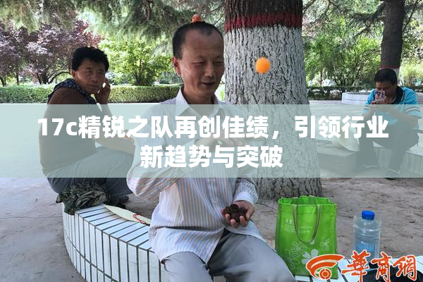 17c精锐之队再创佳绩，引领行业新趋势与突破