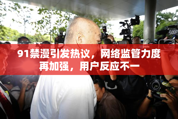 91禁漫引发热议，网络监管力度再加强，用户反应不一