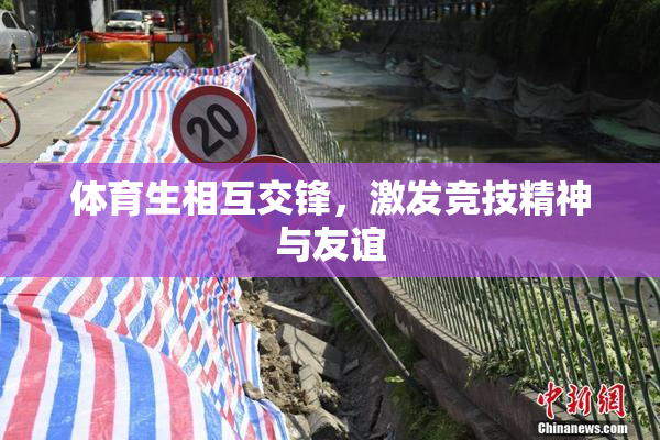 体育生相互交锋，激发竞技精神与友谊