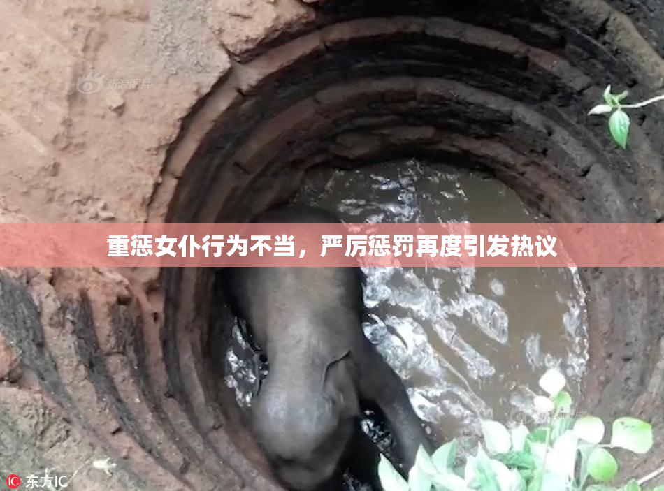重惩女仆行为不当，严厉惩罚再度引发热议