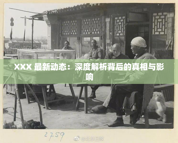 XXX 最新动态：深度解析背后的真相与影响