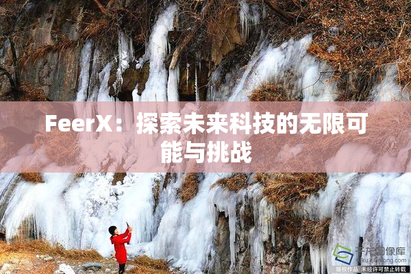 FeerX：探索未来科技的无限可能与挑战