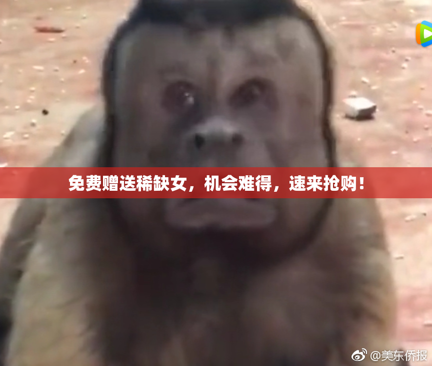 免费赠送稀缺女，机会难得，速来抢购！