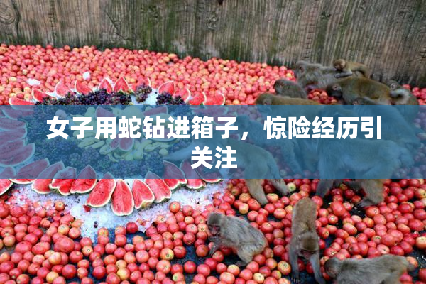 女子用蛇钻进箱子，惊险经历引关注