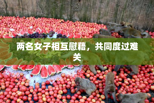 两名女子相互慰藉，共同度过难关