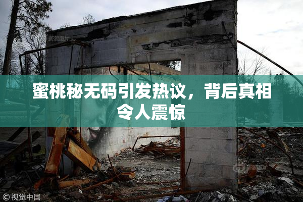 蜜桃秘无码引发热议，背后真相令人震惊