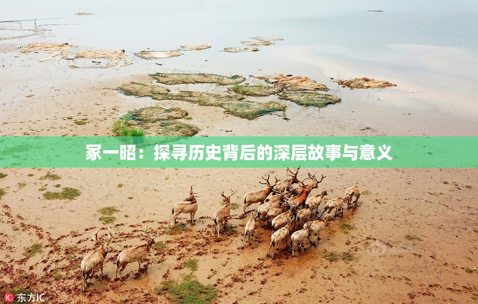 冢一昭：探寻历史背后的深层故事与意义