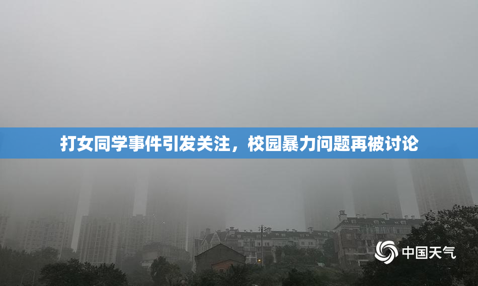 打女同学事件引发关注，校园暴力问题再被讨论