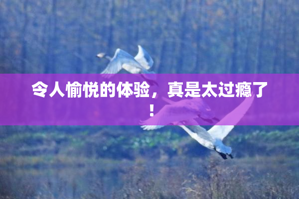 令人愉悦的体验，真是太过瘾了！