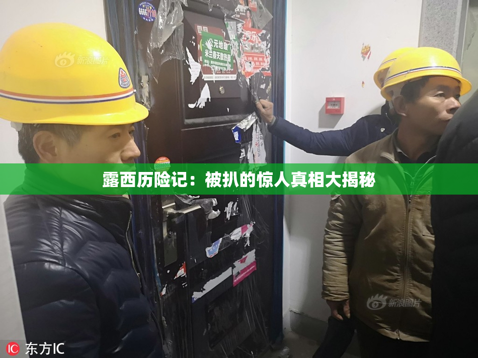 露西历险记：被扒的惊人真相大揭秘