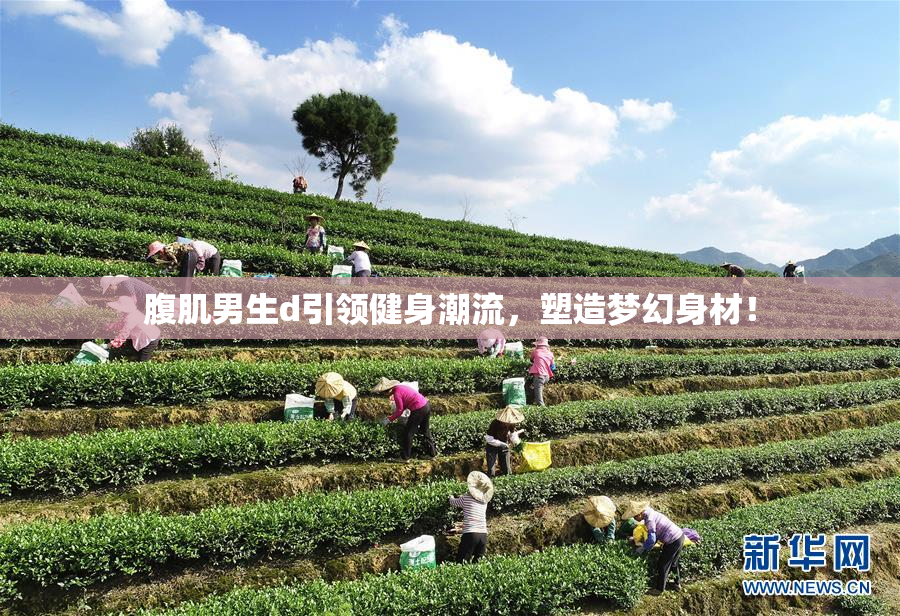 腹肌男生d引领健身潮流，塑造梦幻身材！