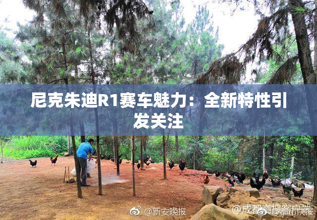尼克朱迪R1赛车魅力：全新特性引发关注