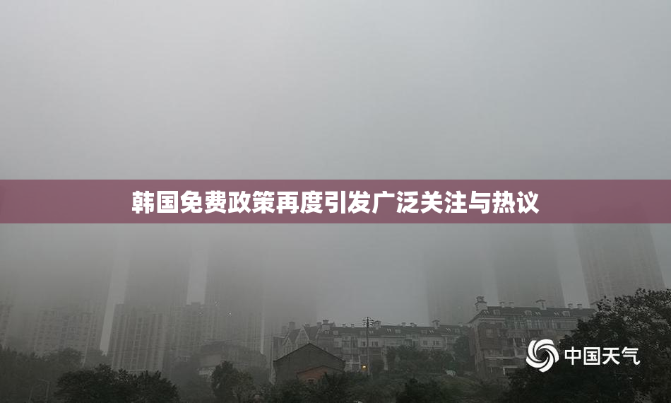 韩国免费政策再度引发广泛关注与热议