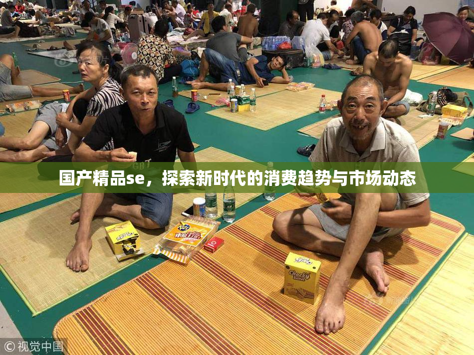 国产精品se，探索新时代的消费趋势与市场动态