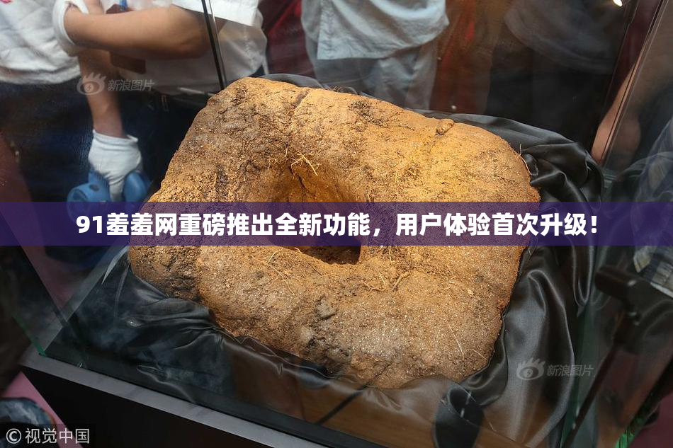 91羞羞网重磅推出全新功能，用户体验首次升级！