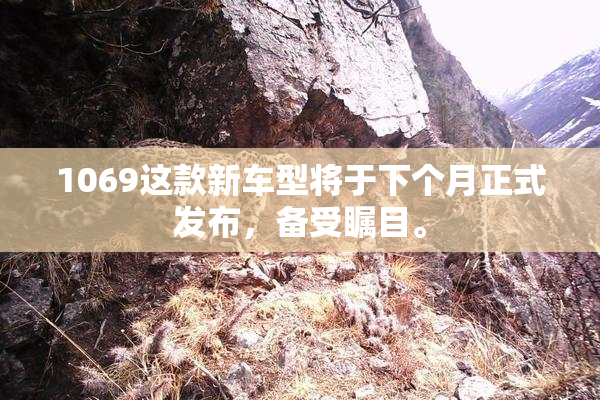 1069这款新车型将于下个月正式发布，备受瞩目。