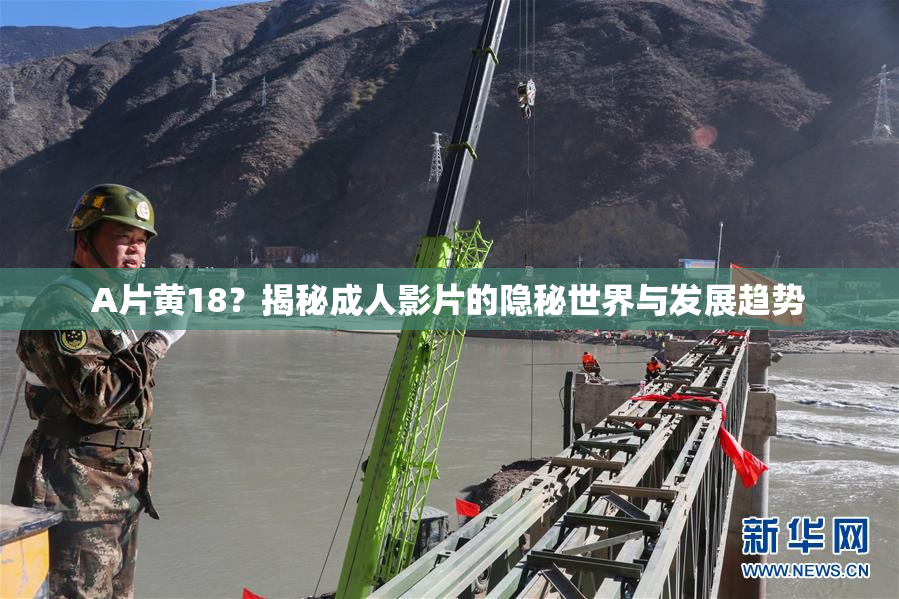 A片黄18？揭秘成人影片的隐秘世界与发展趋势